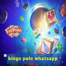 bingo pelo whatsapp